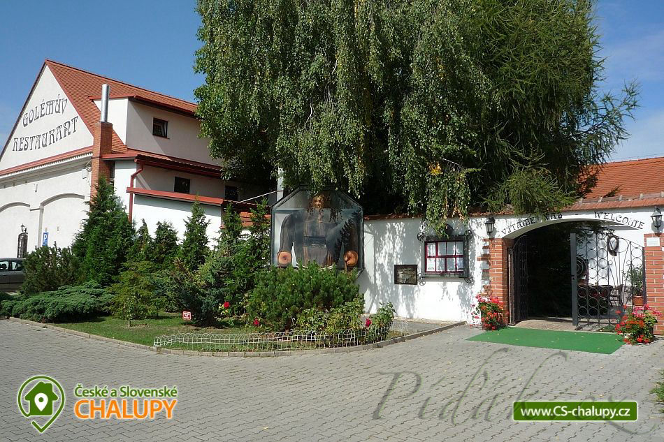 1. obrázek Hotel Golden Golem - Hotel Praha, Březiněves