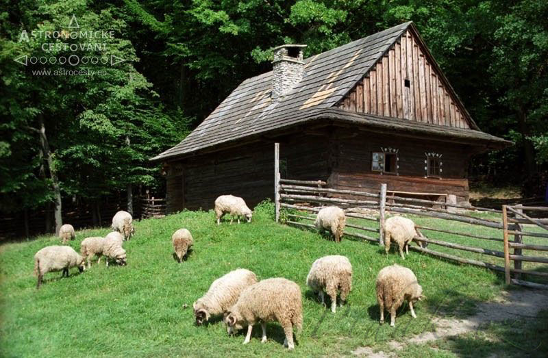 1. obrázek Valašské muzeum v přírodě- Vsetín