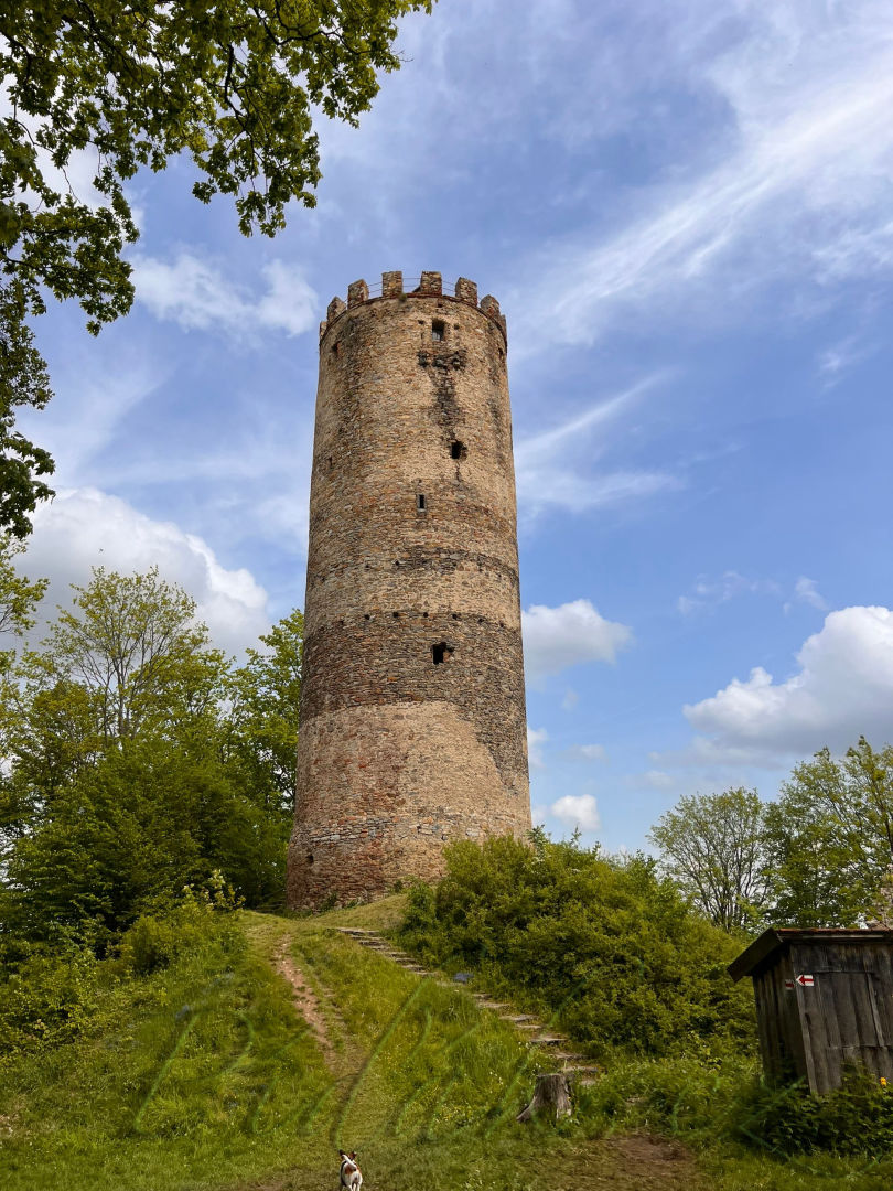 1. obrázek Zřícenina hradu Šelmberk