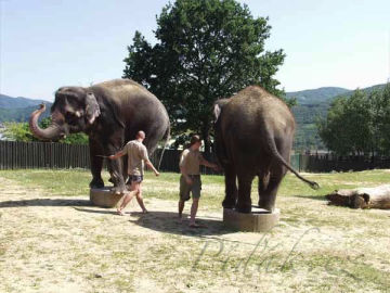 8. obrázek Zoo  Ústí nad Labem