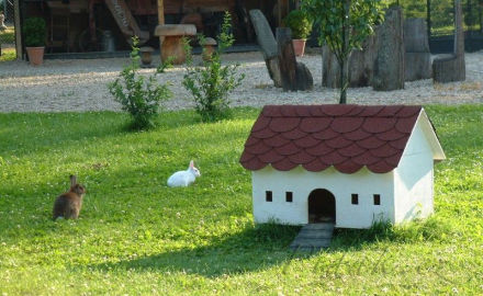 6. obrázek Častolovice - zámek, park a zvěřinec