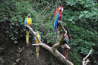 14. obrázek Zoologická zahrada Praha