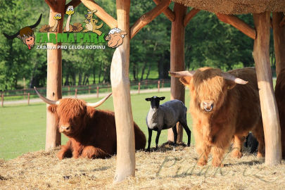 4. obrázek Farmapark Soběhrdy