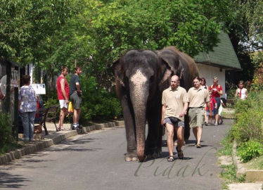 6. obrázek Zoo  Ústí nad Labem