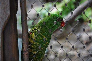 23. obrázek Zoologická zahrada Praha