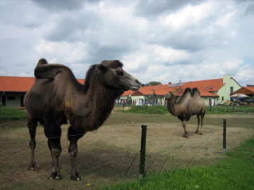 3. obrázek Zoo Park - Vyškov