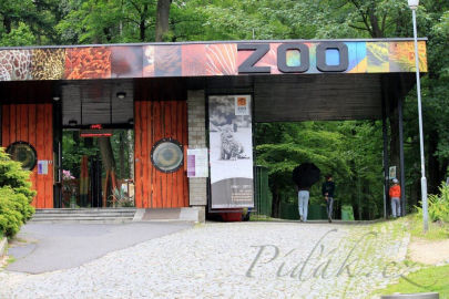 7. obrázek Zoo Liberec