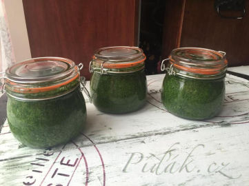 2. obrázek Pesto z medvědího česneku by Romča