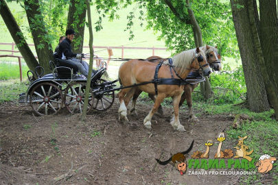 5. obrázek Farmapark Soběhrdy