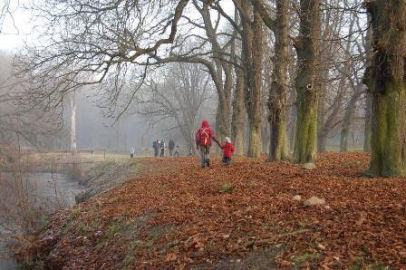 3. obrázek Devětsil lesní mateřská školka - Kamenice