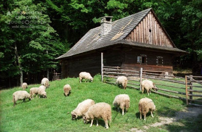 Obrázek Valašské muzeum v přírodě- Vsetín