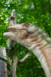 2. obrázek DinoPark ZOO Košice