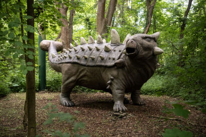 Obrázek DinoPark ZOO Vyškov 