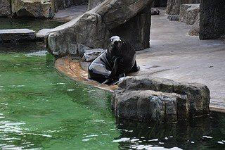 24. obrázek Zoologická zahrada Praha