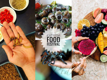 Extrem food a travel festival Pardubice 2020