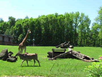 5. obrázek ZOO Ostrava