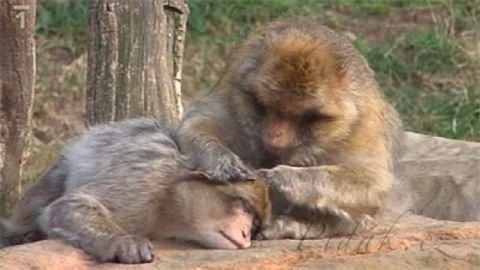 7. obrázek Zoopark Chomutov