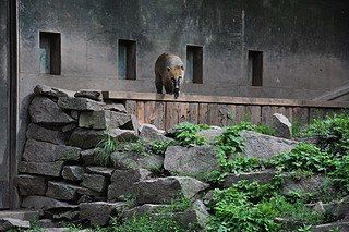 16. obrázek Zoologická zahrada Praha