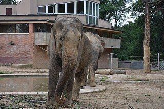 13. obrázek Zoologická zahrada Praha