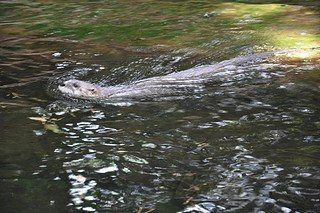 15. obrázek Zoologická zahrada Praha